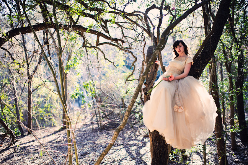 bride on a tree