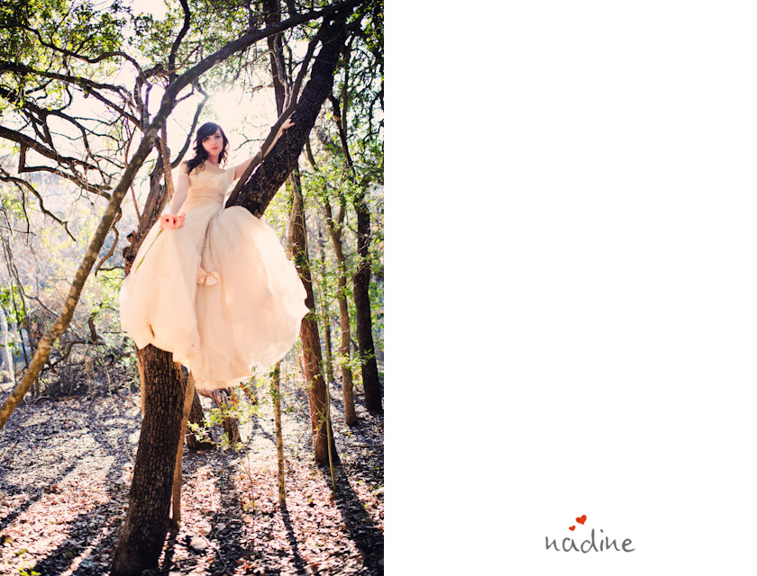 austin fine art wedding photography bride on a tree