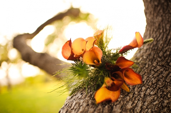 calla lilies bouquet