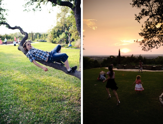 at sunset, chilling on a tree