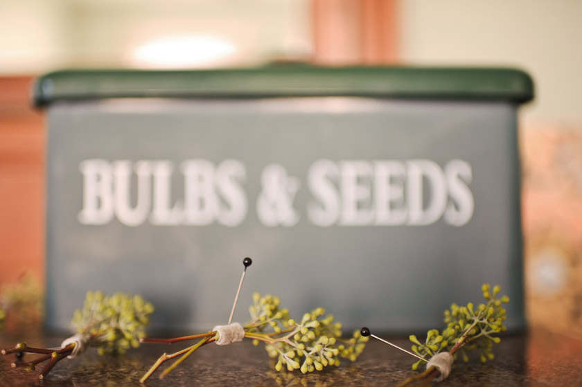 bulbs and seeds boutonnieres