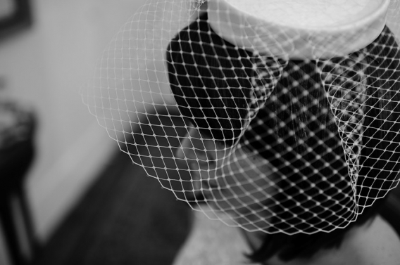 bird cage veil