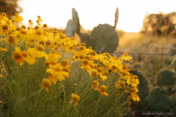 three-points-ranch-wedding-02j