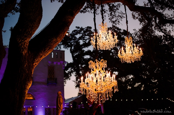 three big chandeliers hanging on a tree