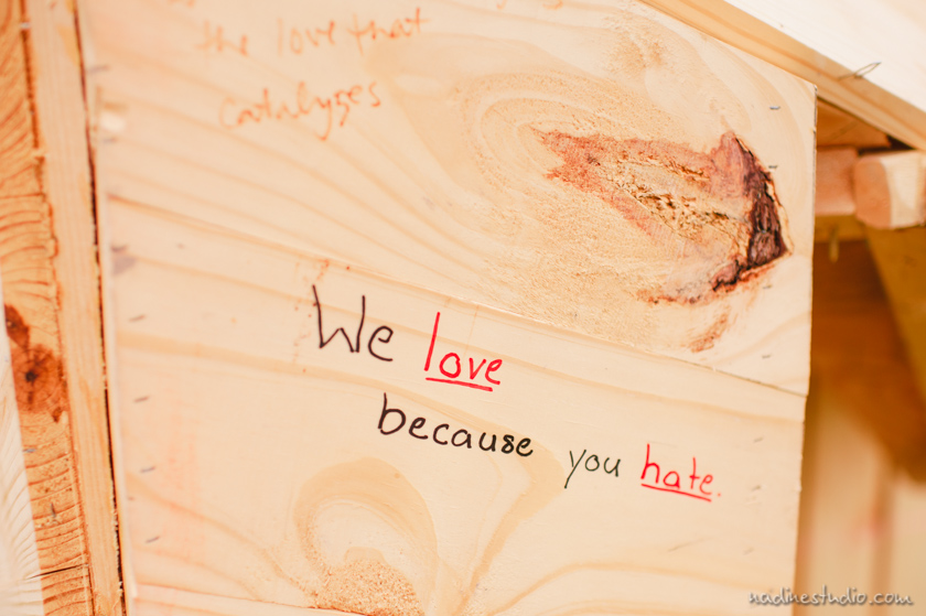 we love because you hate