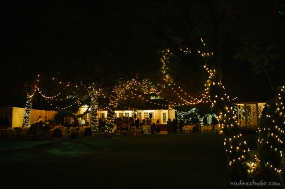 green pastures at night