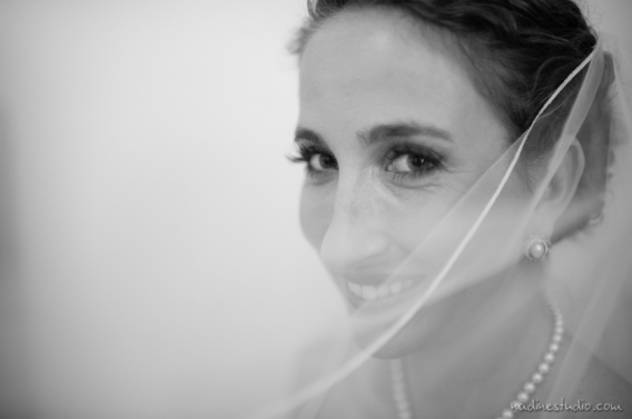 bride and veil