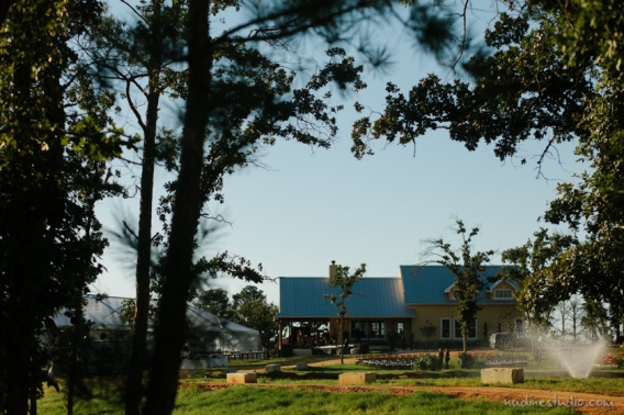 bastrop backyard wedding