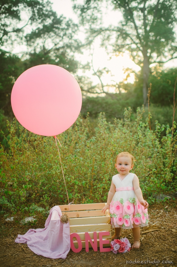 austin family photography
