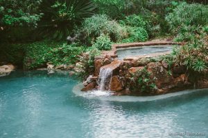 water fountain at hummingbird house