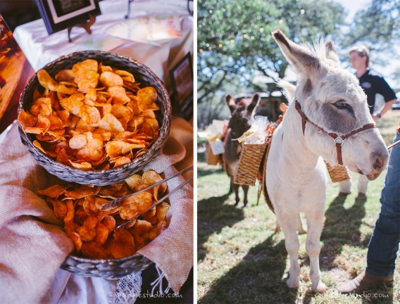 a donkey or mule carrying wedding favors