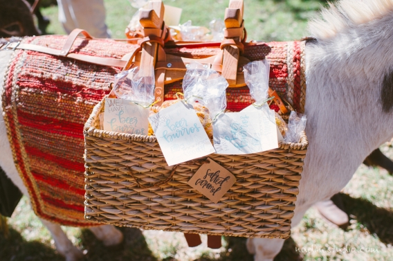 texas donkey carrying wedding favors