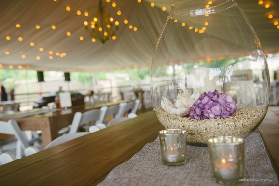 beautifully lit twinkle lights
