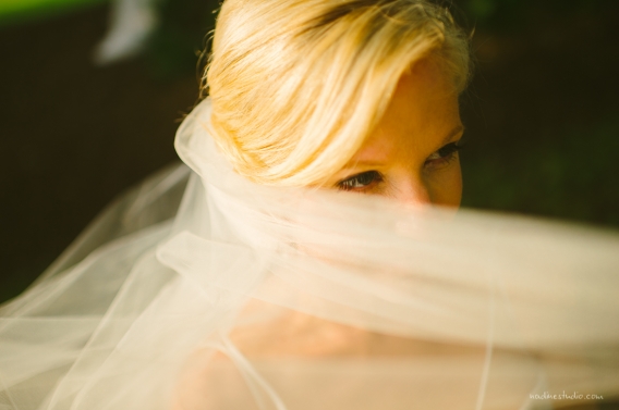 behind hte veil