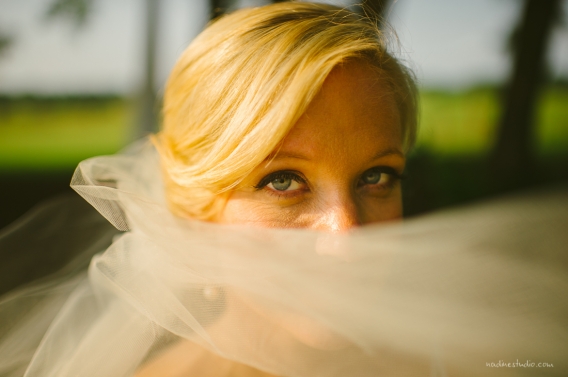 the veil and eyes