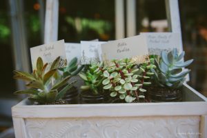succulant table placemats