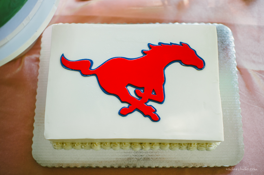 grooms cake with a stallion running