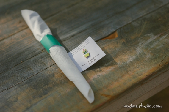 cacti pins as favors